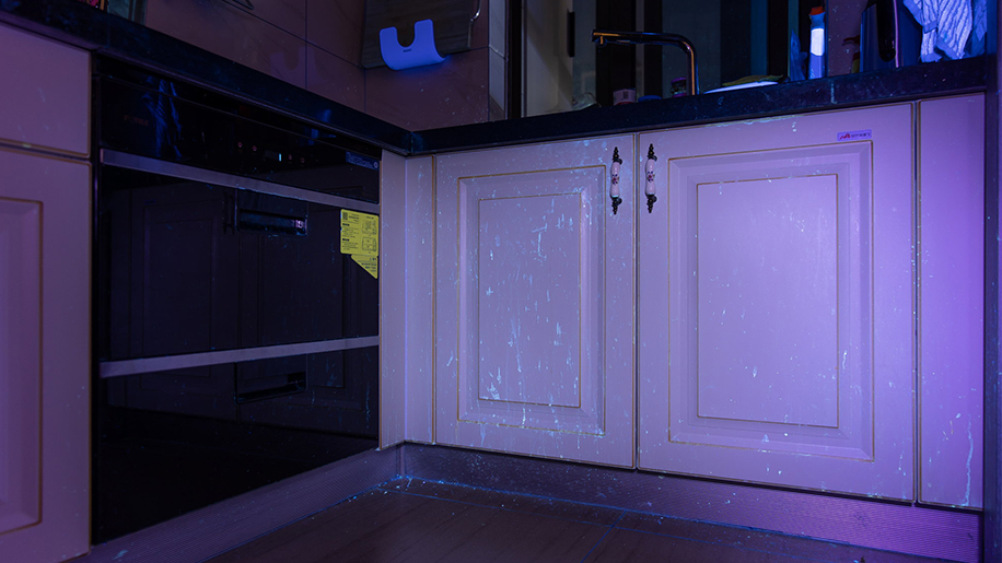 What Is A UV Flashlight Used for