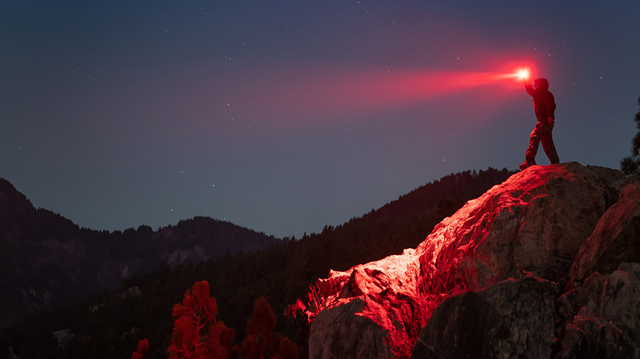 red lit forest