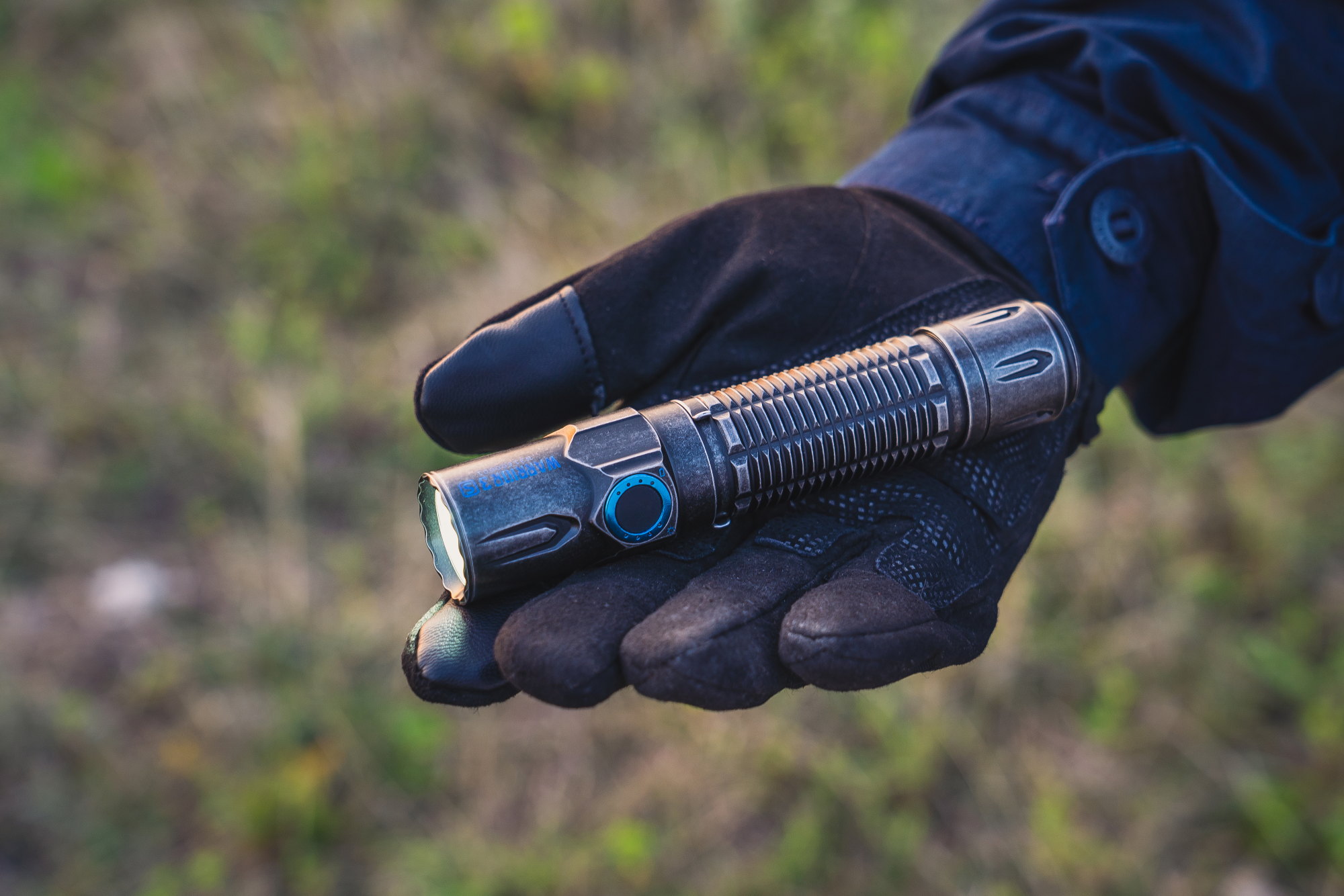 warrior 3s in the hand