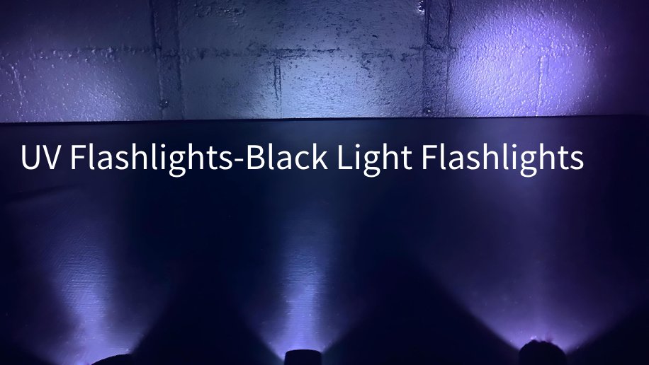 The Best UV Flashlights Black Light Flashlight